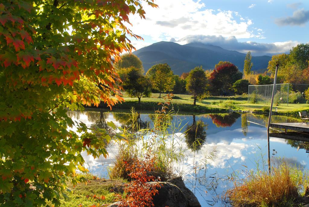 Dreamers Mount Beauty Luaran gambar