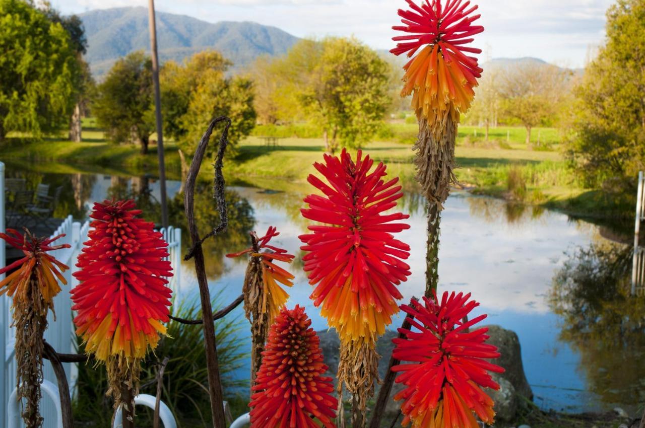 Dreamers Mount Beauty Luaran gambar